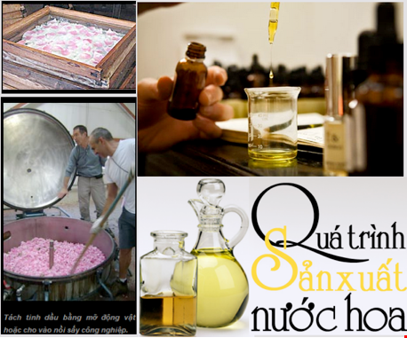 QUÁ TRÌNH SẢN XUẤT NƯỚC HOA CỦA CÁC HÀNG HIỆU NỔI TIẾNG